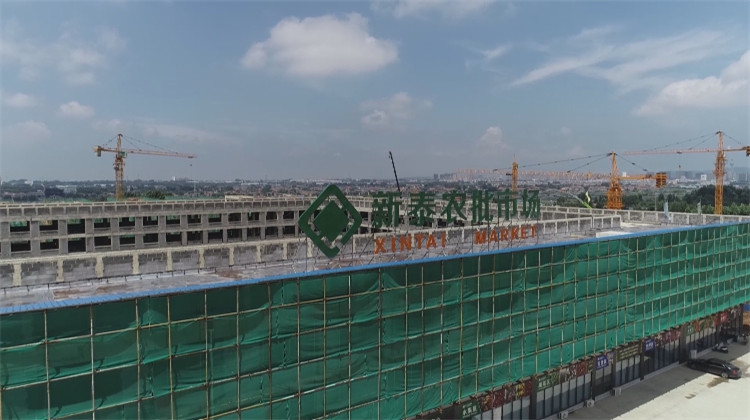 泰安新泰市加快推进青云智慧冷链物流园建设